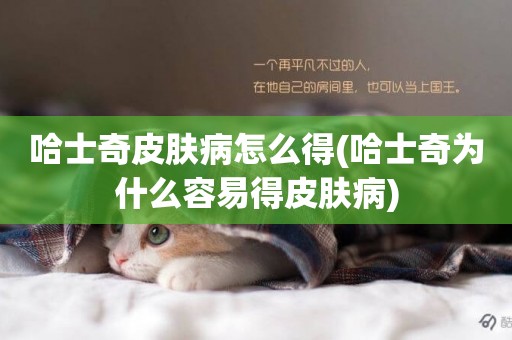 哈士奇皮膚病怎么得(哈士奇為什么容易得皮膚病)