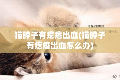 貓脖子有疙瘩出血(貓脖子有疙瘩出血怎么辦)