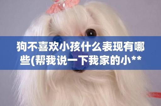狗不喜歡小孩什么表現有哪些(幫我說一下我家的小***為什么不能不喜歡狗狗)