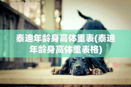 泰迪年齡身高體重表(泰迪年齡身高體重表格)