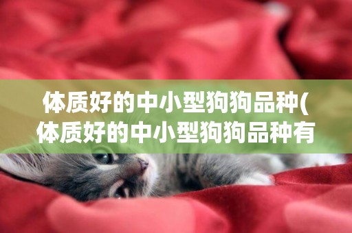 體質好的中小型狗狗品種(體質好的中小型狗狗品種有哪些)