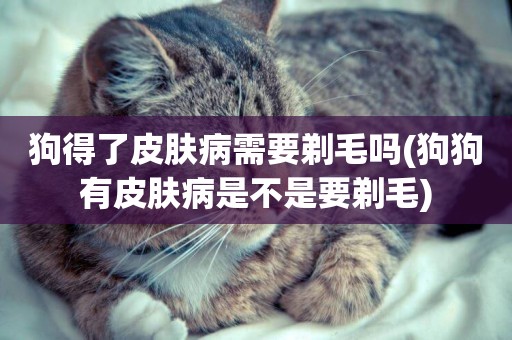 狗得了皮膚病需要剃毛嗎(狗狗有皮膚病是不是要剃毛)