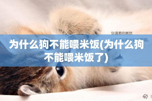 為什么狗不能喂米飯(為什么狗不能喂米飯了)