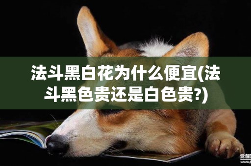 法斗黑白花為什么便宜(法斗黑色貴還是白色貴?)