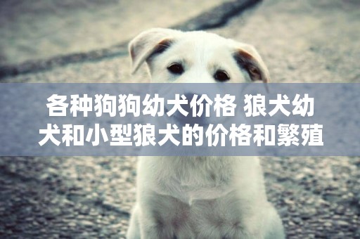 各種狗狗幼犬價格 狼犬幼犬和小型狼犬的價格和繁殖 
