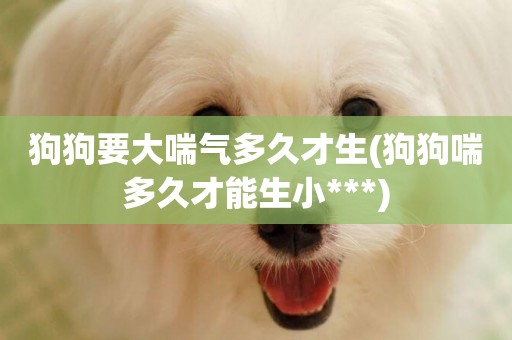 狗狗要大喘氣多久才生(狗狗喘多久才能生小***)