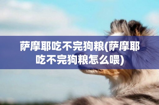 薩摩耶吃不完狗糧(薩摩耶吃不完狗糧怎么喂)