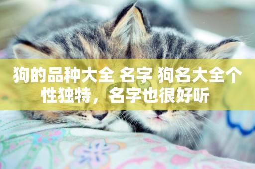 狗的品種大全 名字 狗名大全個性獨特，名字也很好聽 