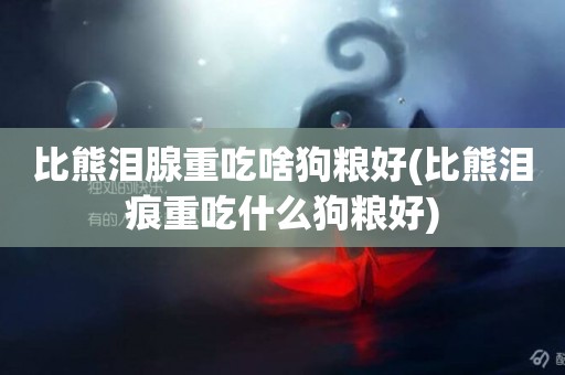 比熊淚腺重吃啥狗糧好(比熊淚痕重吃什么狗糧好)
