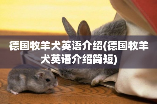 德國牧羊犬英語介紹(德國牧羊犬英語介紹簡短)