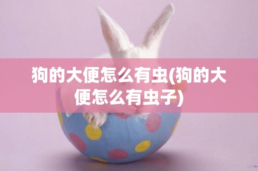 狗的大便怎么有蟲(狗的大便怎么有蟲子)