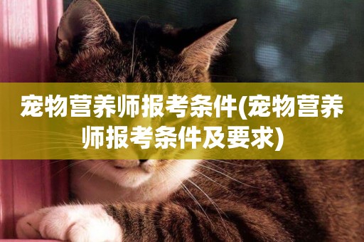 寵物營養師報考條件(寵物營養師報考條件及要求)