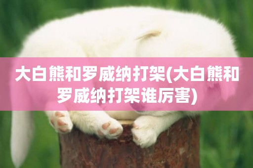 大白熊和羅威納打架(大白熊和羅威納打架誰厲害)