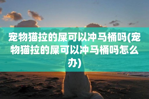 寵物貓拉的屎可以沖馬桶嗎(寵物貓拉的屎可以沖馬桶嗎怎么辦)