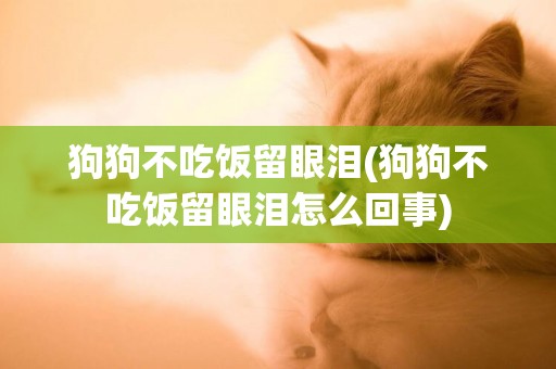 狗狗不吃飯留眼淚(狗狗不吃飯留眼淚怎么回事)