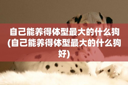 自己能養得體型最大的什么狗(自己能養得體型最大的什么狗好)
