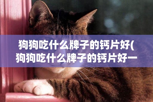 狗狗吃什么牌子的鈣片好(狗狗吃什么牌子的鈣片好一點)