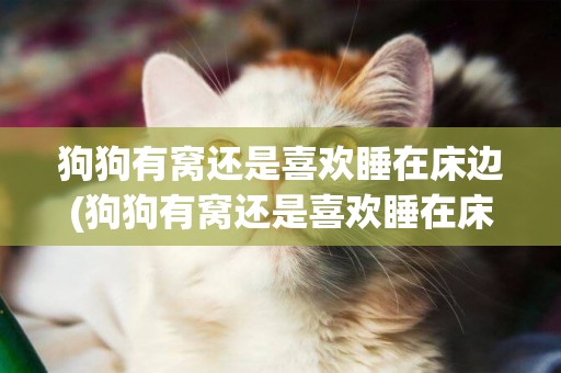 狗狗有窩還是喜歡睡在床邊(狗狗有窩還是喜歡睡在床邊好)