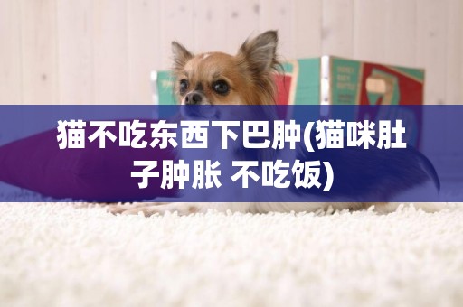 貓不吃東西下巴腫(貓咪肚子腫脹 不吃飯)