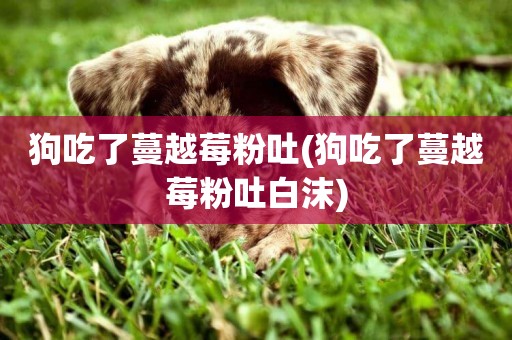 狗吃了蔓越莓粉吐(狗吃了蔓越莓粉吐白沫)