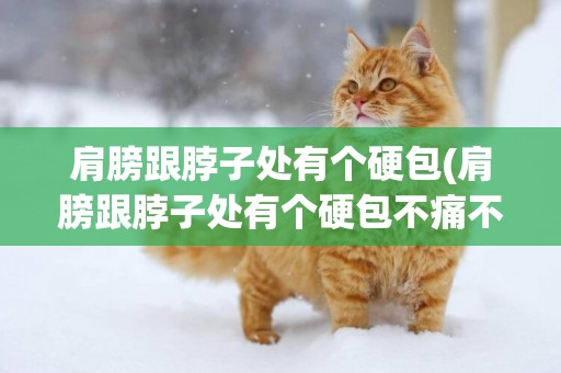 肩膀跟脖子處有個硬包(肩膀跟脖子處有個硬包不痛不癢)