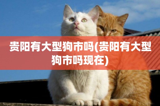 貴陽有大型狗市嗎(貴陽有大型狗市嗎現在)