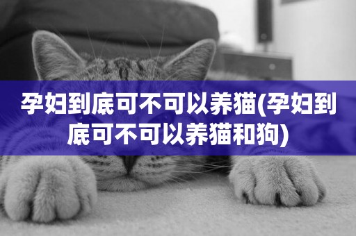 孕婦到底可不可以養貓(孕婦到底可不可以養貓和狗)
