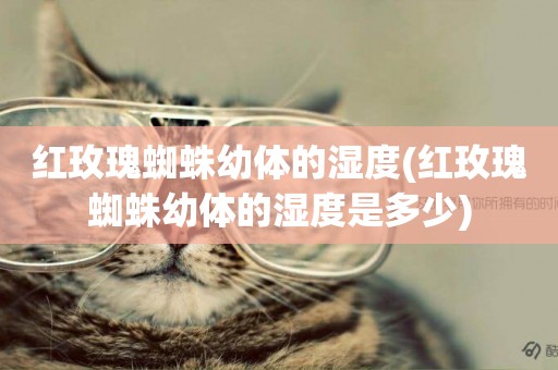 紅玫瑰蜘蛛幼體的濕度(紅玫瑰蜘蛛幼體的濕度是多少)