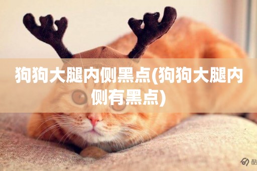 狗狗大腿內側黑點(狗狗大腿內側有黑點)