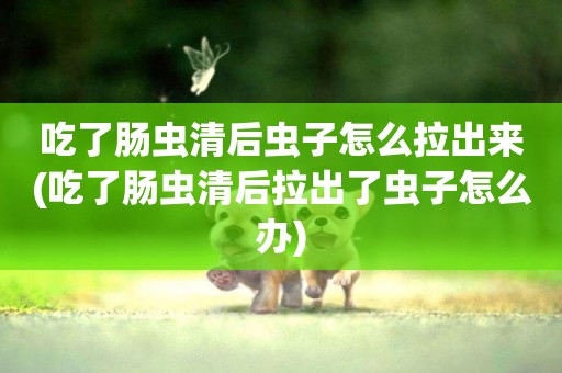 吃了腸蟲清后蟲子怎么拉出來(吃了腸蟲清后拉出了蟲子怎么辦)
