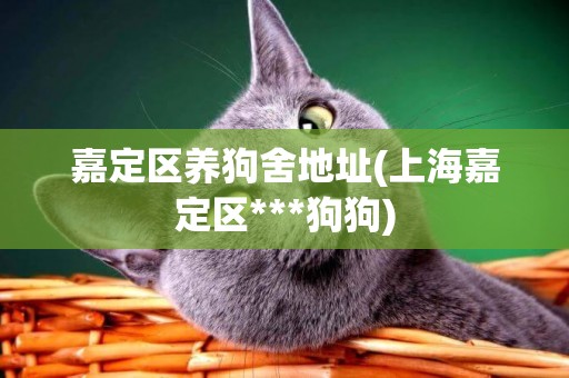 嘉定區養狗舍地址(上海嘉定區***狗狗)