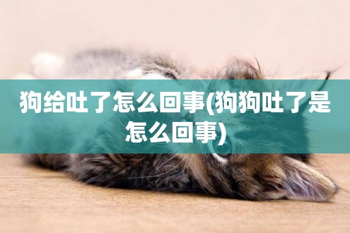 狗給吐了怎么回事(狗狗吐了是怎么回事)