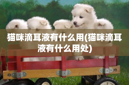 貓咪滴耳液有什么用(貓咪滴耳液有什么用處)