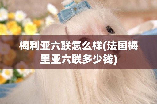 梅利亞六聯怎么樣(法國梅里亞六聯多少錢)