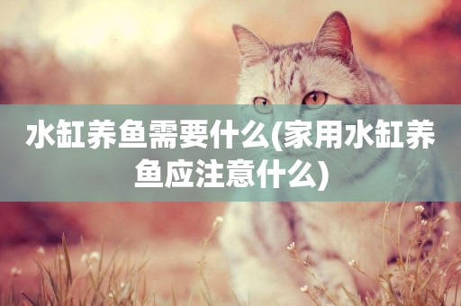 水缸養魚需要什么(家用水缸養魚應注意什么)