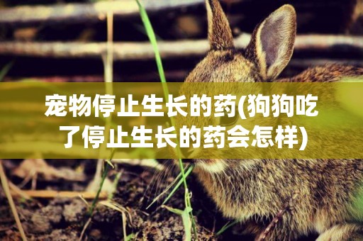 寵物停止生長的藥(狗狗吃了停止生長的藥會怎樣)