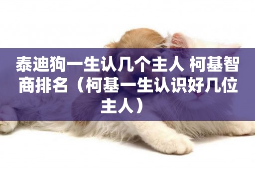 泰迪狗一生認幾個主人 柯基智商排名（柯基一生認識好幾位主人） 