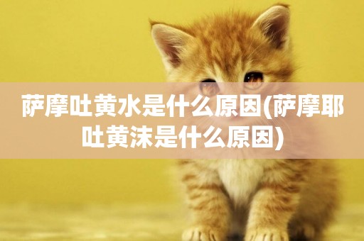 薩摩吐黃水是什么原因(薩摩耶吐黃沫是什么原因)