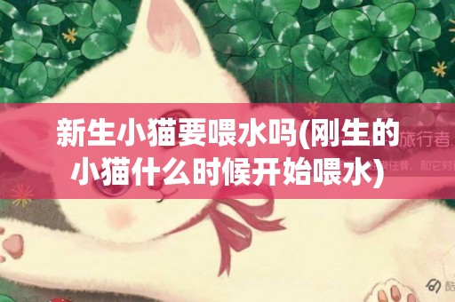 新生小貓要喂水嗎(剛生的小貓什么時候開始喂水)