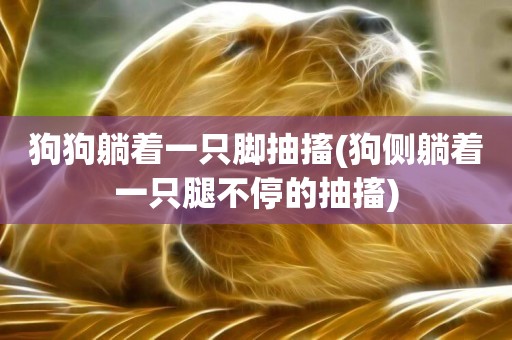 狗狗躺著一只腳抽搐(狗側躺著一只腿不停的抽搐)