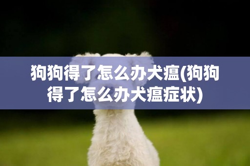 狗狗得了怎么辦犬瘟(狗狗得了怎么辦犬瘟癥狀)