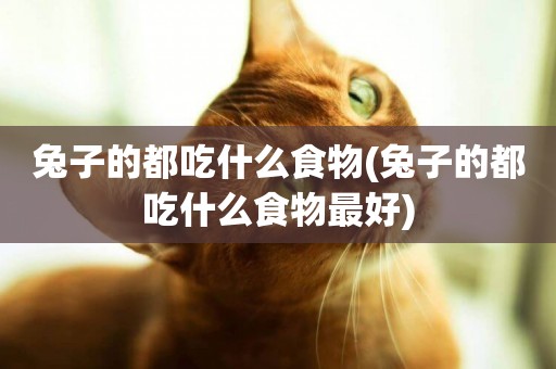 兔子的都吃什么食物(兔子的都吃什么食物最好)
