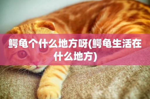 鱷龜個什么地方呀(鱷龜生活在什么地方)
