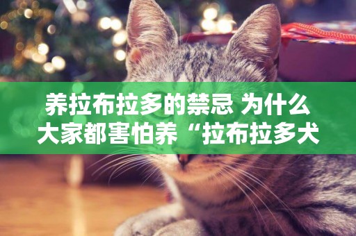 養拉布拉多的禁忌 為什么大家都害怕養“拉布拉多犬”？這幾點很現實 