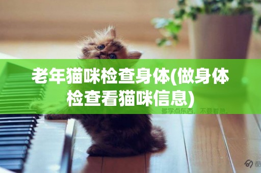 老年貓咪檢查身體(做身體檢查看貓咪信息)