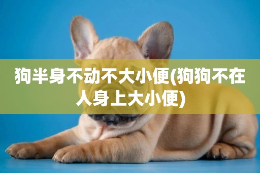 狗半身不動不大小便(狗狗不在人身上大小便)