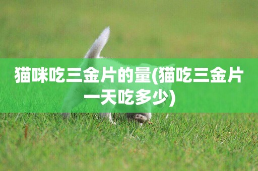 貓咪吃三金片的量(貓吃三金片一天吃多少)