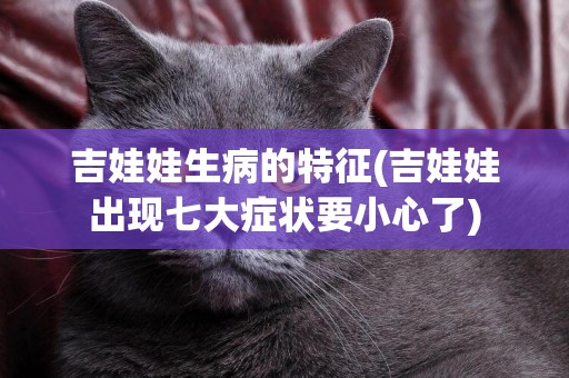 吉娃娃生病的特征(吉娃娃出現七大癥狀要小心了)