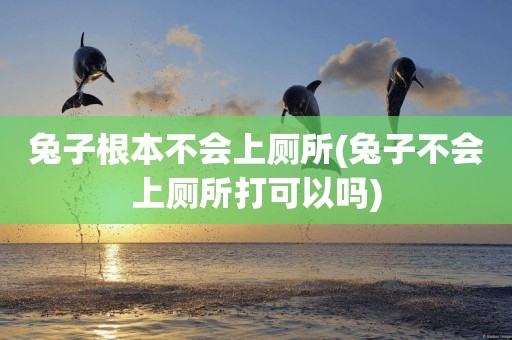 兔子根本不會上廁所(兔子不會上廁所打可以嗎)