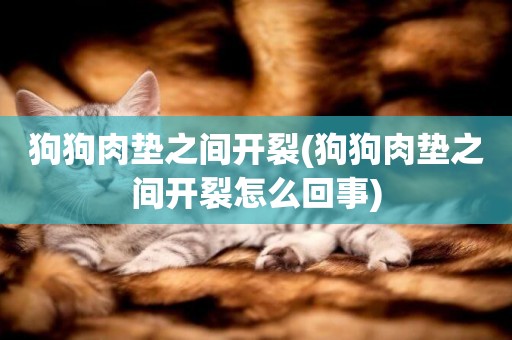 狗狗肉墊之間開裂(狗狗肉墊之間開裂怎么回事)